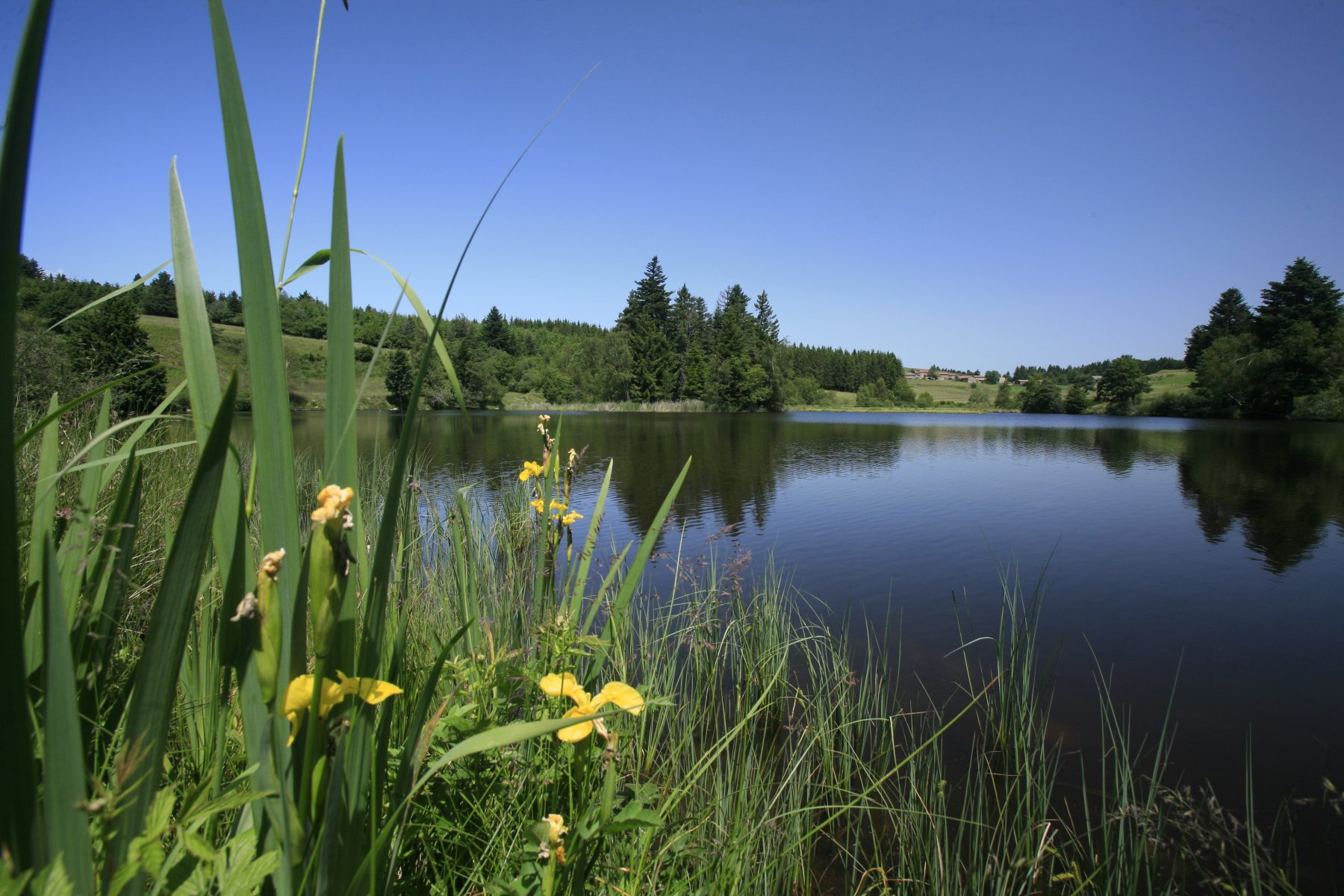 etang prelager