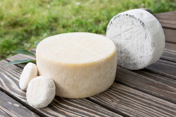 fromage de chevre